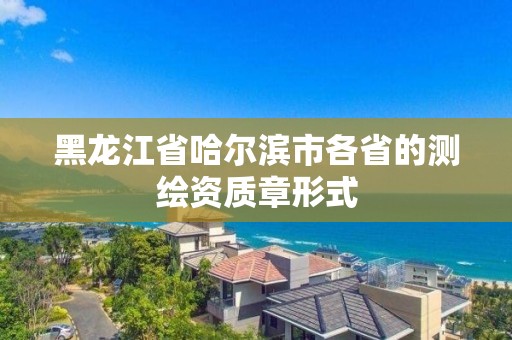 黑龍江省哈爾濱市各省的測繪資質章形式