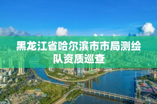 黑龍江省哈爾濱市市局測繪隊資質巡查