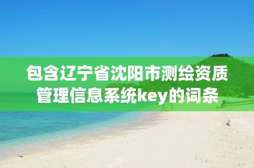 包含遼寧省沈陽市測繪資質管理信息系統key的詞條