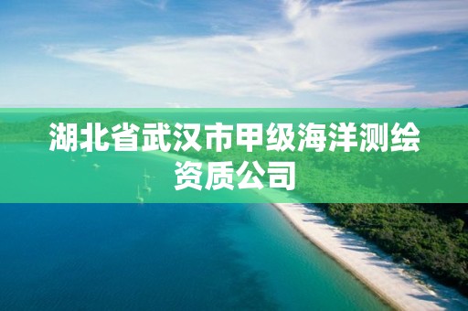 湖北省武漢市甲級海洋測繪資質公司