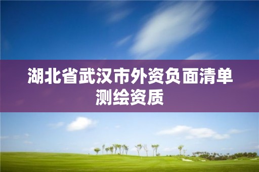 湖北省武漢市外資負面清單測繪資質