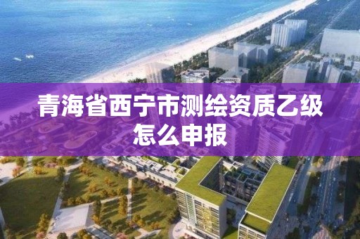 青海省西寧市測繪資質乙級怎么申報