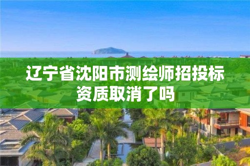 遼寧省沈陽市測繪師招投標資質取消了嗎