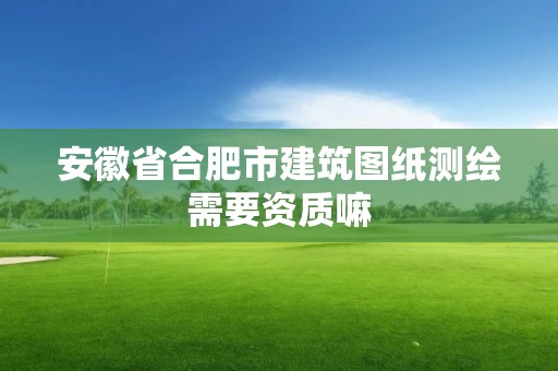 安徽省合肥市建筑圖紙測繪需要資質(zhì)嘛