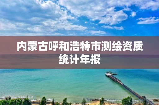 內蒙古呼和浩特市測繪資質統計年報