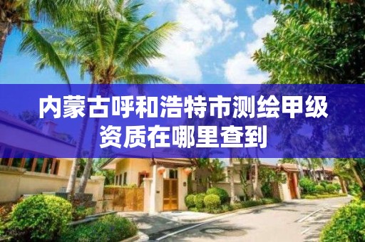 內蒙古呼和浩特市測繪甲級資質在哪里查到