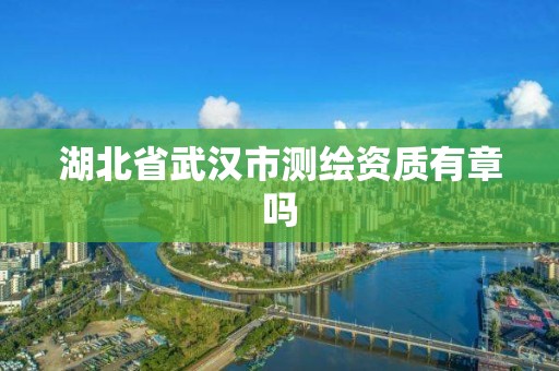 湖北省武漢市測繪資質有章嗎