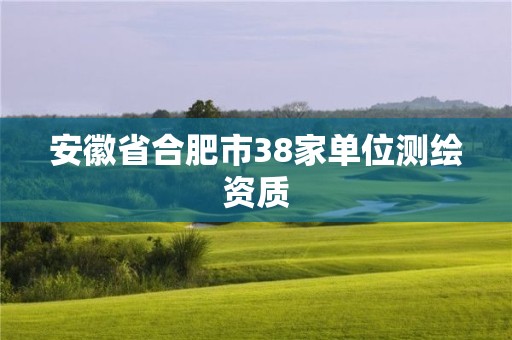 安徽省合肥市38家單位測繪資質(zhì)