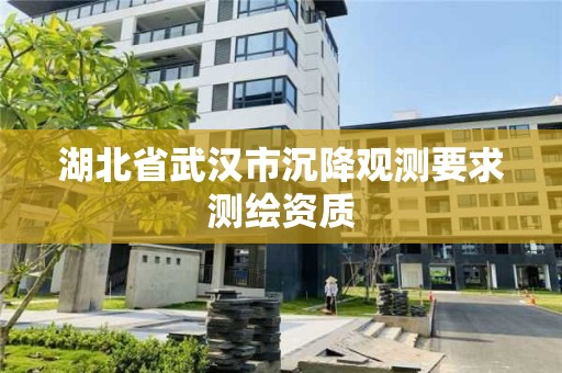 湖北省武漢市沉降觀測要求測繪資質