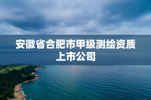 安徽省合肥市甲級測繪資質上市公司