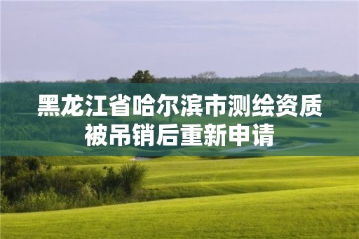 黑龍江省哈爾濱市測繪資質被吊銷后重新申請