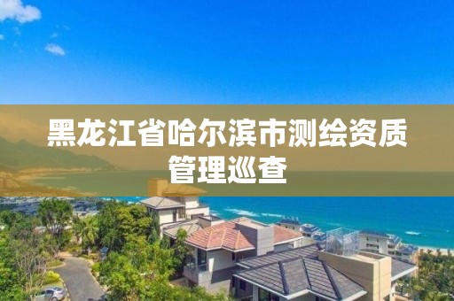 黑龍江省哈爾濱市測繪資質管理巡查