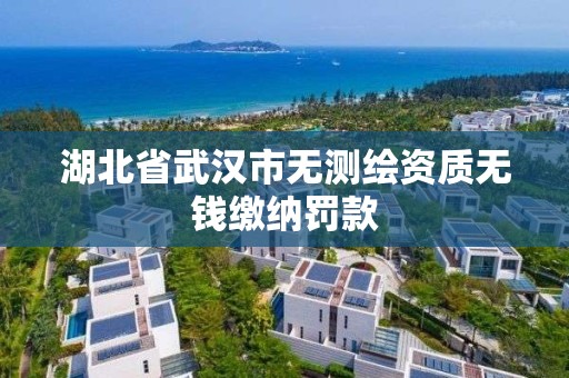 湖北省武漢市無測繪資質無錢繳納罰款