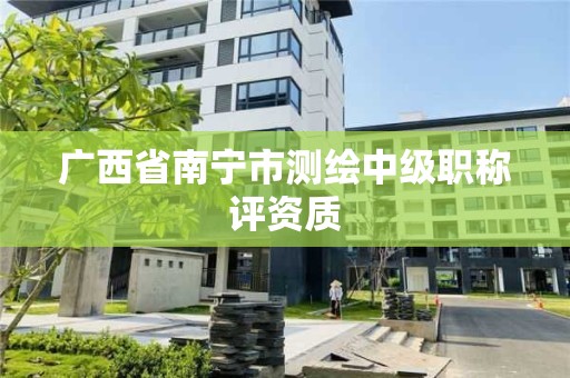 廣西省南寧市測繪中級職稱評資質