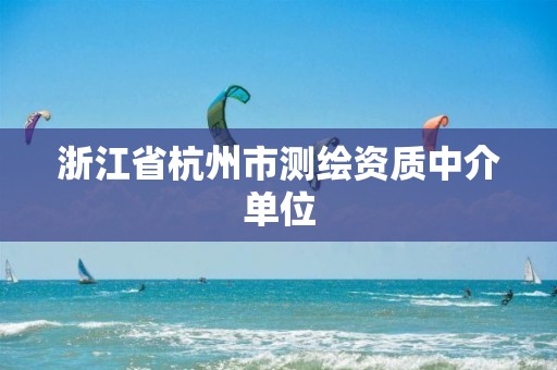 浙江省杭州市測繪資質中介單位