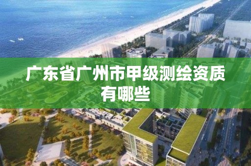 廣東省廣州市甲級測繪資質(zhì)有哪些