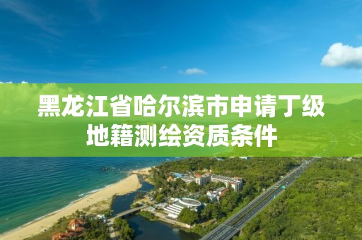 黑龍江省哈爾濱市申請丁級地籍測繪資質(zhì)條件