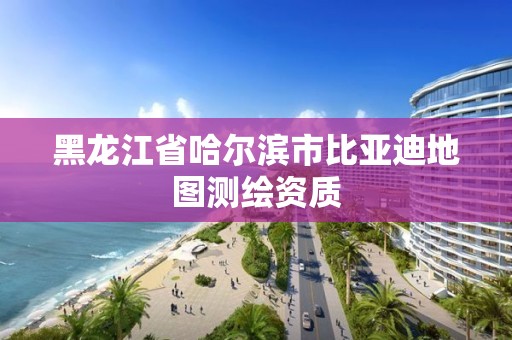 黑龍江省哈爾濱市比亞迪地圖測繪資質