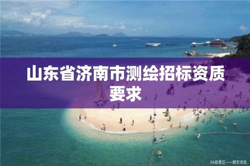 山東省濟南市測繪招標資質要求