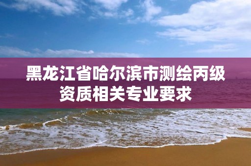 黑龍江省哈爾濱市測繪丙級資質相關專業要求