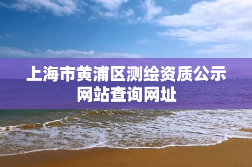 上海市黃浦區(qū)測繪資質(zhì)公示網(wǎng)站查詢網(wǎng)址