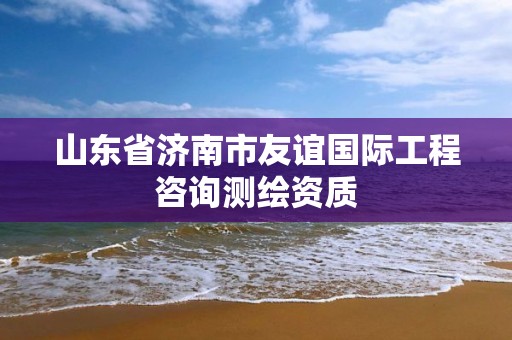 山東省濟(jì)南市友誼國(guó)際工程咨詢測(cè)繪資質(zhì)