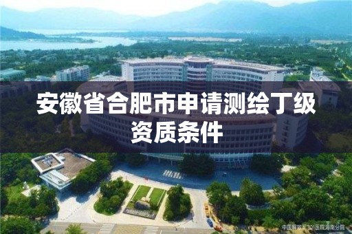 安徽省合肥市申請測繪丁級資質條件