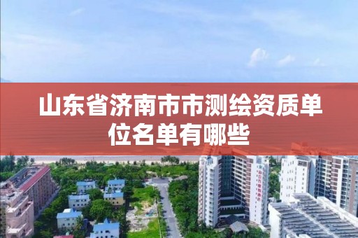 山東省濟南市市測繪資質(zhì)單位名單有哪些