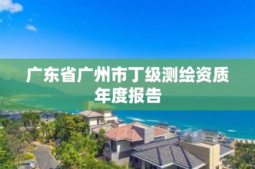 廣東省廣州市丁級測繪資質(zhì)年度報(bào)告