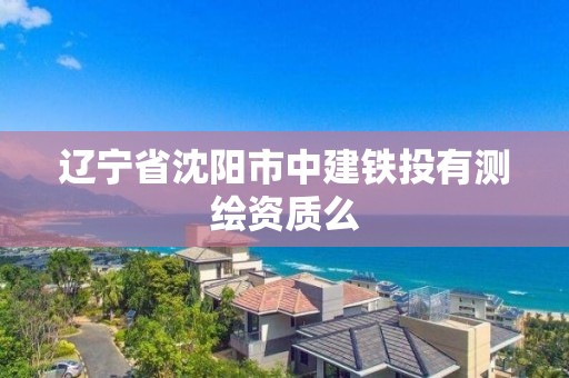 遼寧省沈陽市中建鐵投有測繪資質(zhì)么