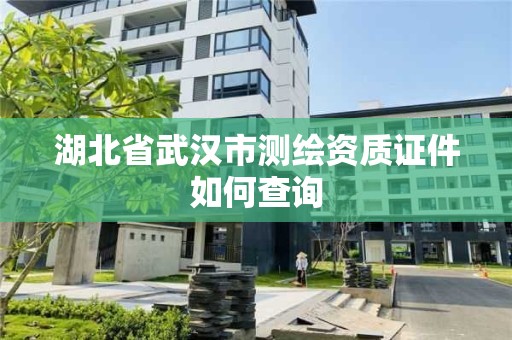 湖北省武漢市測繪資質證件如何查詢