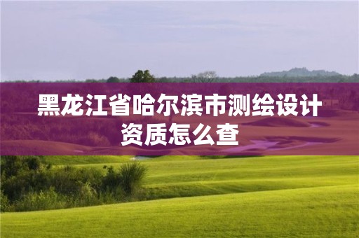 黑龍江省哈爾濱市測繪設計資質怎么查