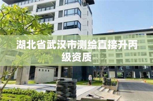 湖北省武漢市測繪直接升丙級資質