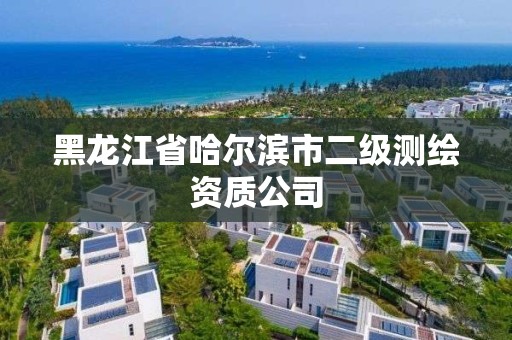 黑龍江省哈爾濱市二級測繪資質公司