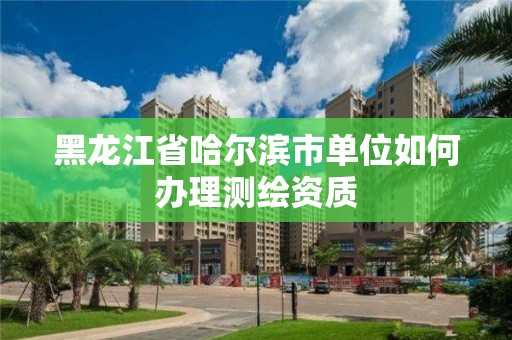 黑龍江省哈爾濱市單位如何辦理測繪資質