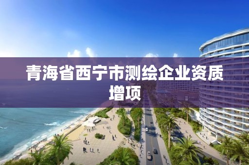 青海省西寧市測繪企業資質增項