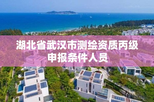 湖北省武漢市測繪資質丙級申報條件人員