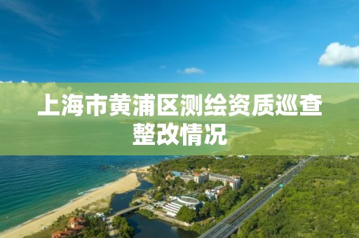 上海市黃浦區測繪資質巡查整改情況