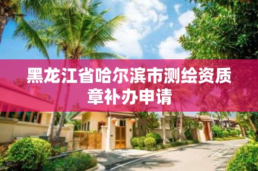 黑龍江省哈爾濱市測繪資質章補辦申請