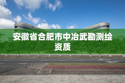 安徽省合肥市中冶武勘測繪資質