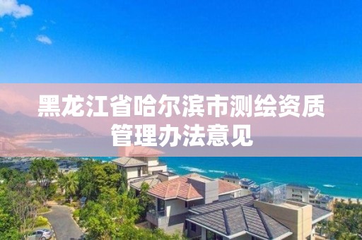 黑龍江省哈爾濱市測繪資質管理辦法意見