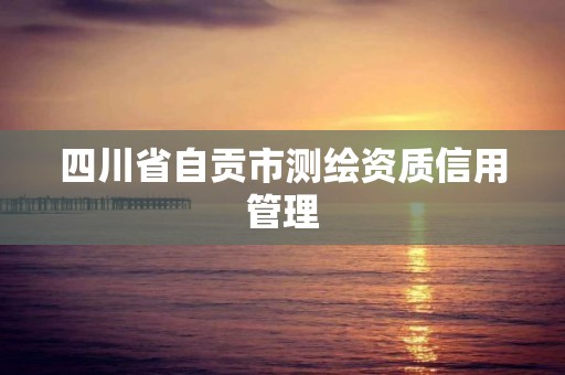 四川省自貢市測繪資質信用管理