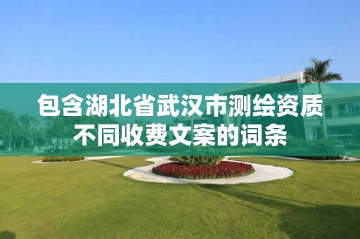 包含湖北省武漢市測繪資質不同收費文案的詞條