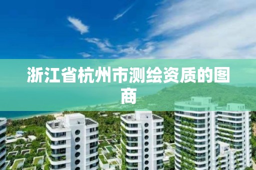 浙江省杭州市測繪資質的圖商