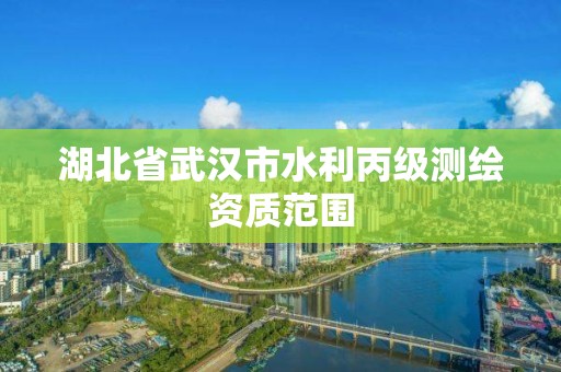 湖北省武漢市水利丙級測繪資質(zhì)范圍