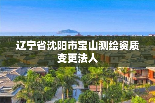 遼寧省沈陽市寶山測繪資質(zhì)變更法人