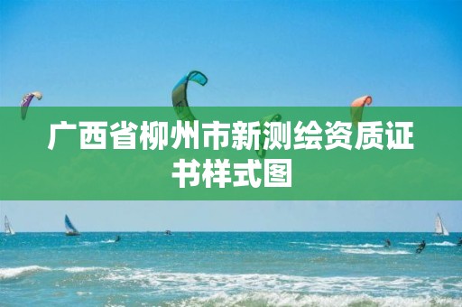 廣西省柳州市新測(cè)繪資質(zhì)證書樣式圖