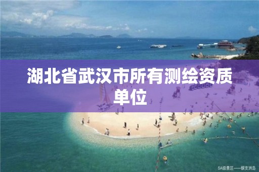 湖北省武漢市所有測繪資質單位