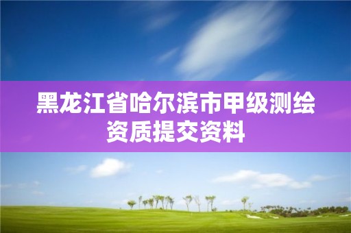 黑龍江省哈爾濱市甲級測繪資質提交資料