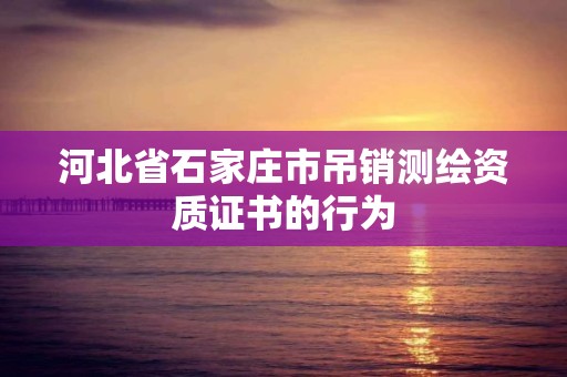 河北省石家莊市吊銷測繪資質證書的行為